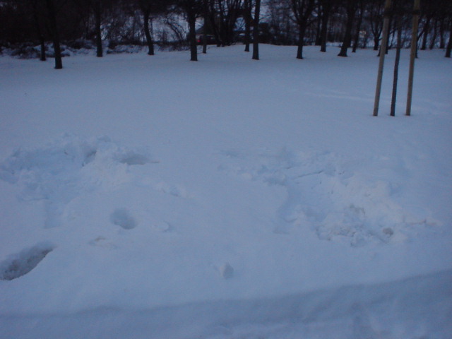 from left to right: Dirk, Anja